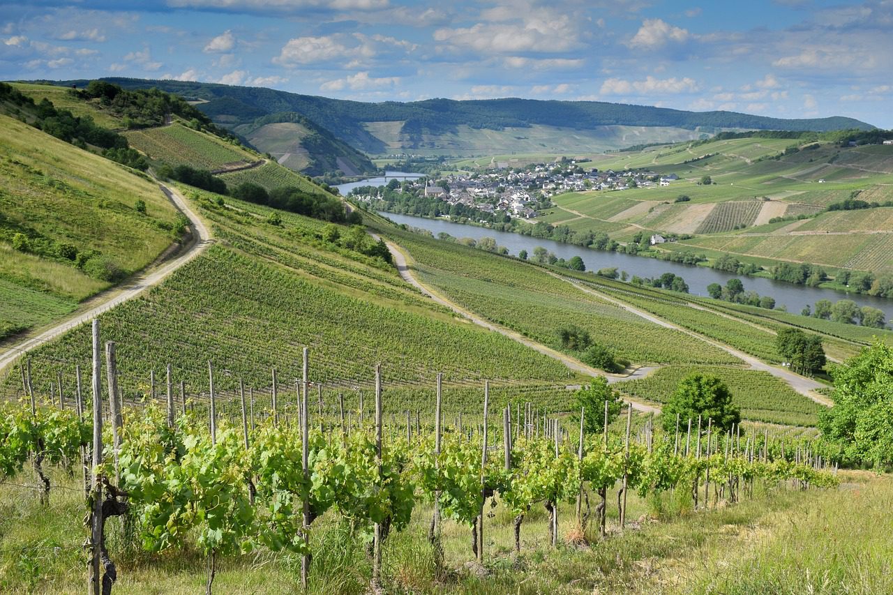 germany, vineyard, river-7264701.jpg