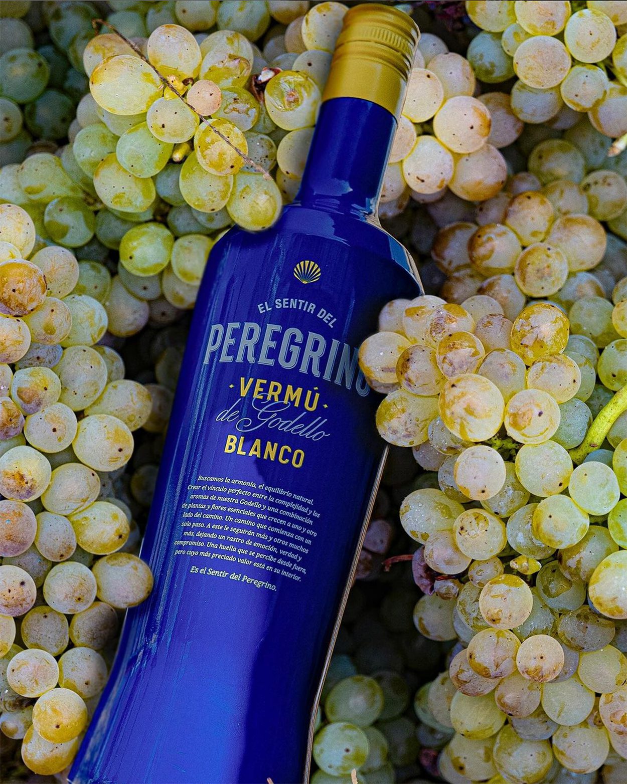 peregrino-el-vermut-de-uva-godello-vermut-trends